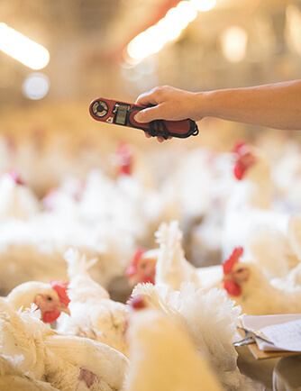 AGGAME·(中国区)集团官方网站