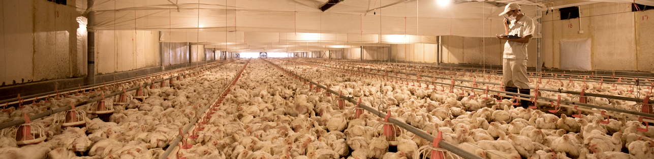 AGGAME·(中国区)集团官方网站