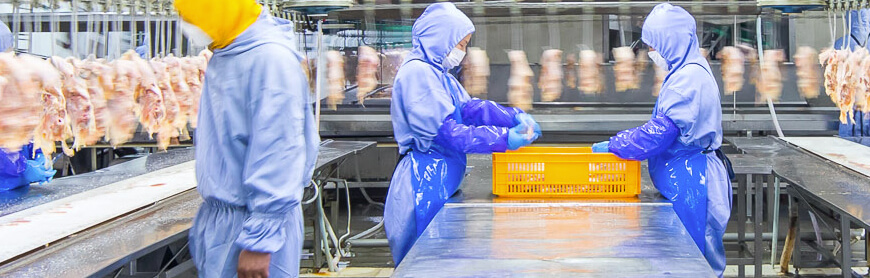 AGGAME·(中国区)集团官方网站