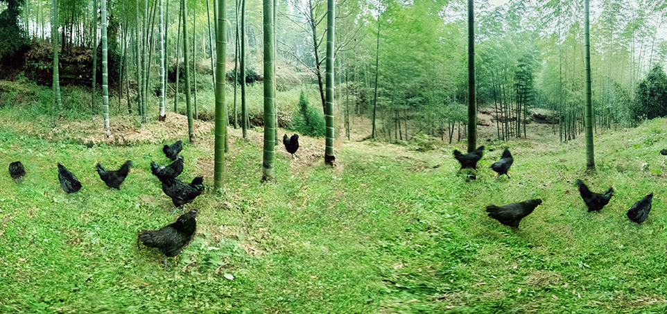 AGGAME·(中国区)集团官方网站