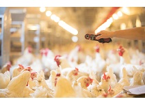 AGGAME·(中国区)集团官方网站