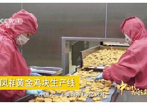 AGGAME·(中国区)集团官方网站