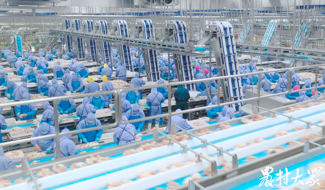 AGGAME·(中国区)集团官方网站