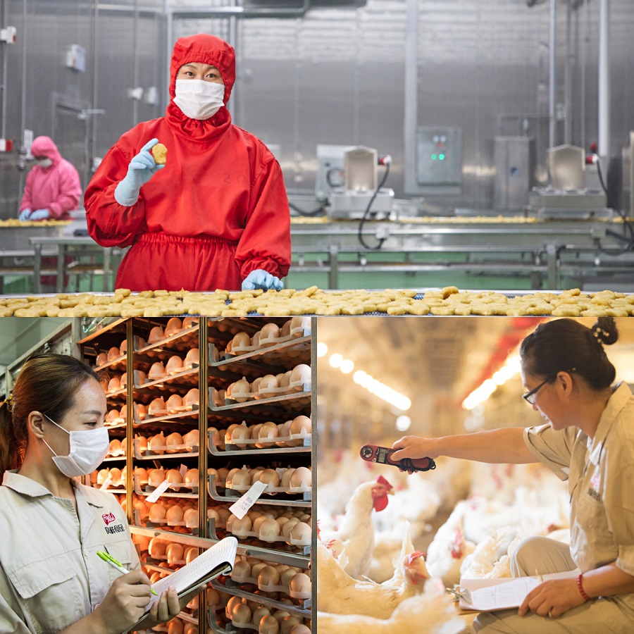 AGGAME·(中国区)集团官方网站