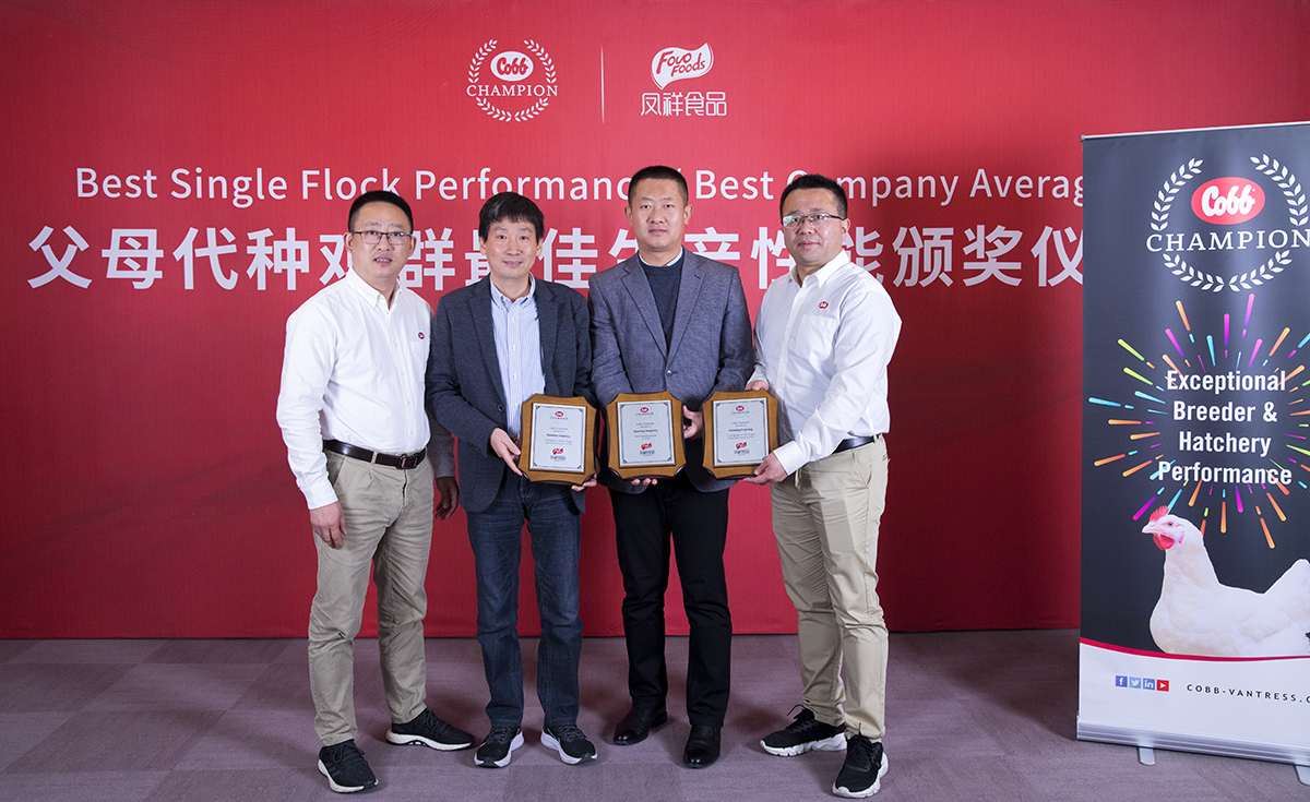 AGGAME·(中国区)集团官方网站